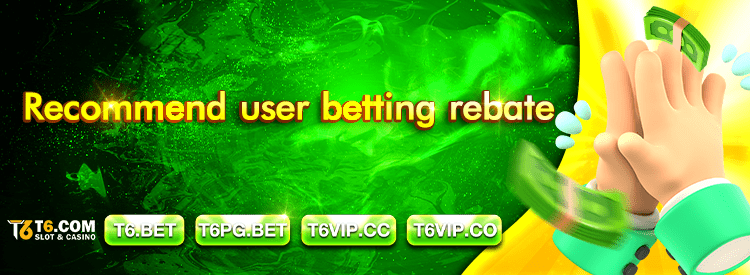 T6 Slot Banner 7